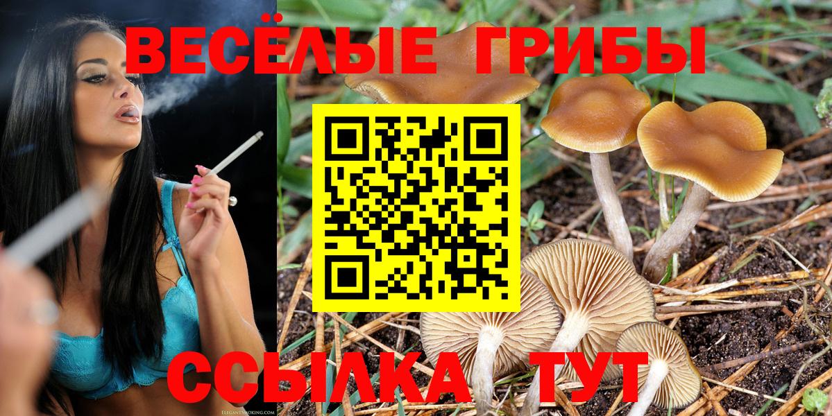 Псилоцибиновые грибы Psilocybe Печора