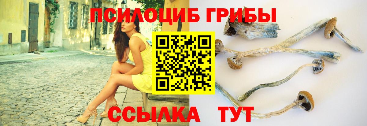Галлюциногенные грибы Psilocybine cubensis  Псилоцибиновые грибы мухоморы  Печора  Вход с VPN 